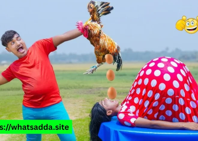 Punjabi Funny Video WhatsApp Group Link (Active & Latest WhatsApp Group Links 2026)