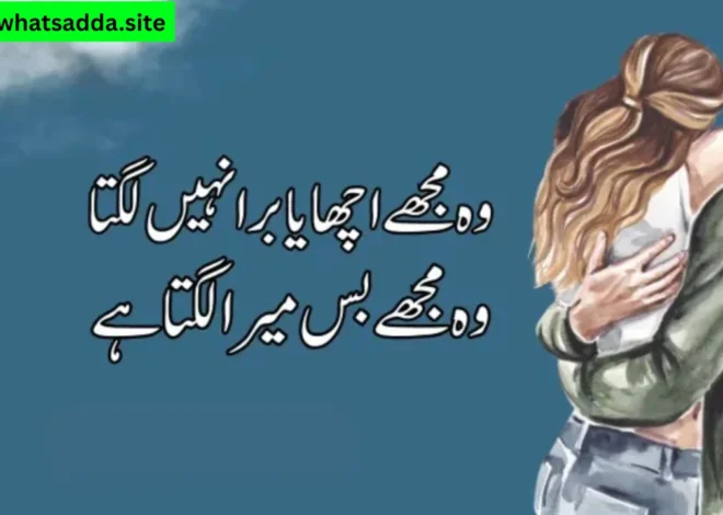 Love Poetry WhatsApp Group Link (Active & Latest Links)