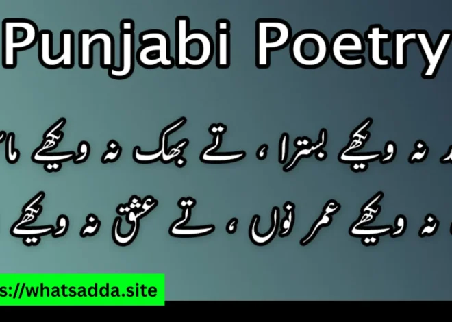 Punjabi Poetry WhatsApp Group Links (Active & Latest Links)