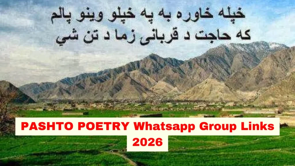 pashto poetry whatsapp group link