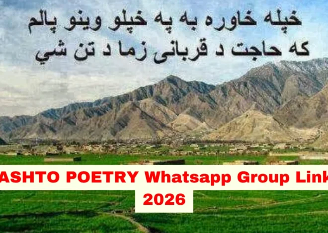 Pashto Poetry WhatsApp Group Link (Active & Latest Links)