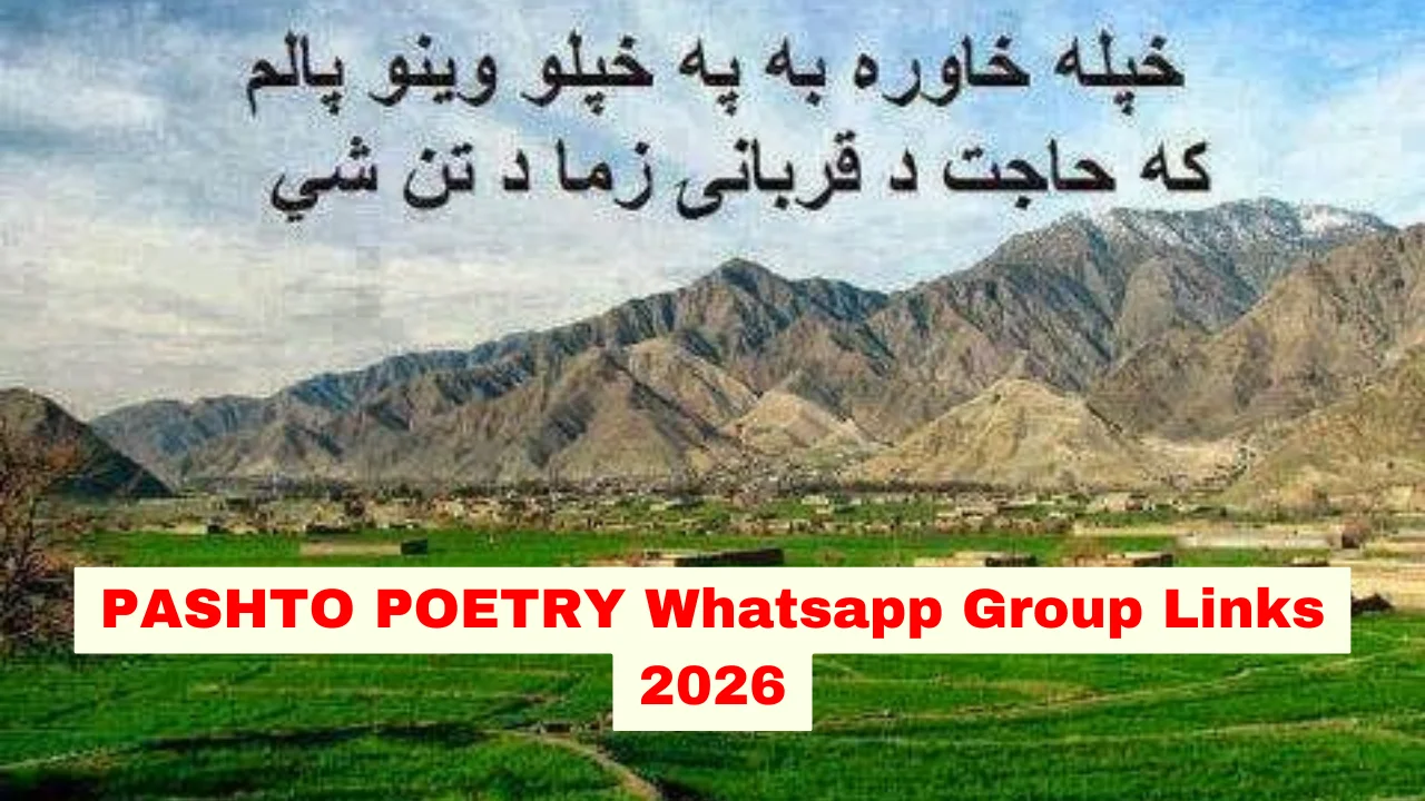 Pashto Poetry WhatsApp Group Link (Active & Latest Links)