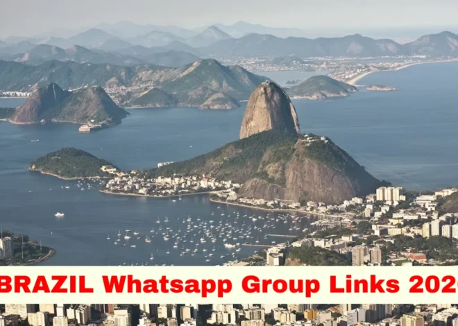 Brazilian WhatsApp Group Link (Active & Latest Groups)