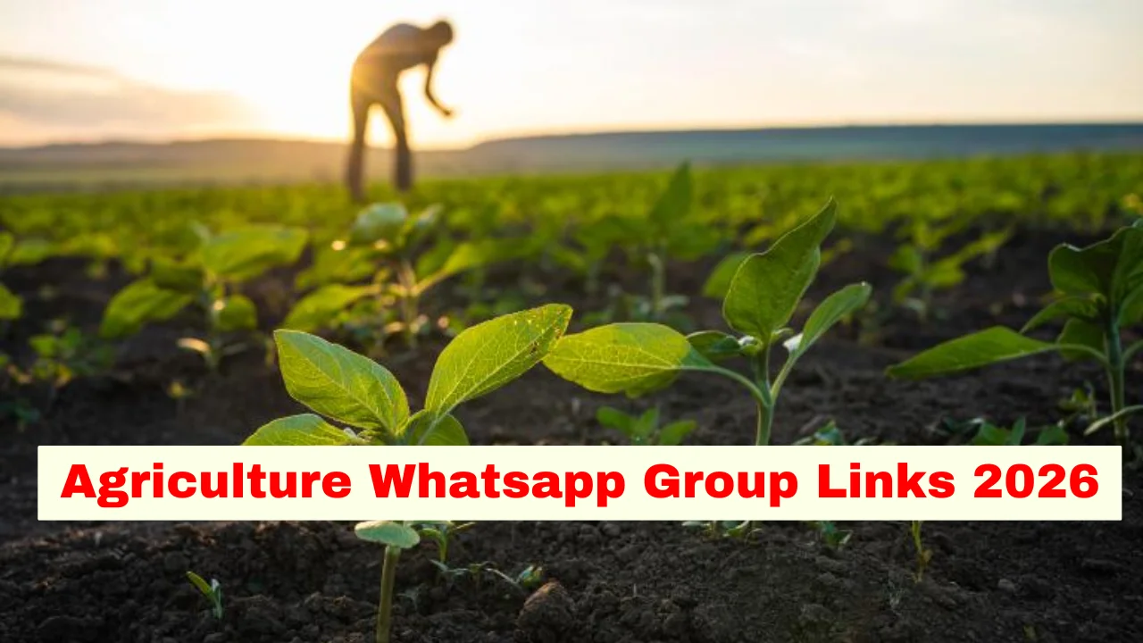Agriculture WhatsApp Group Link (Active & Latest Links)