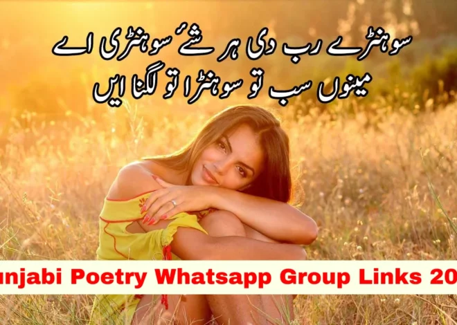 Punjabi Poetry WhatsApp Group Link (Active & Latest Links)