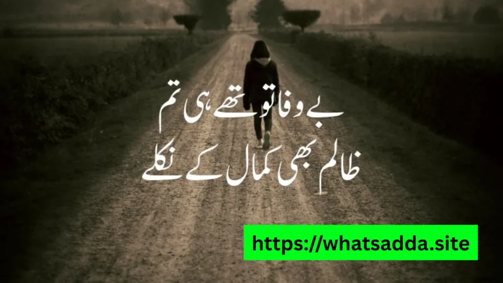 shero shayari whatsapp group