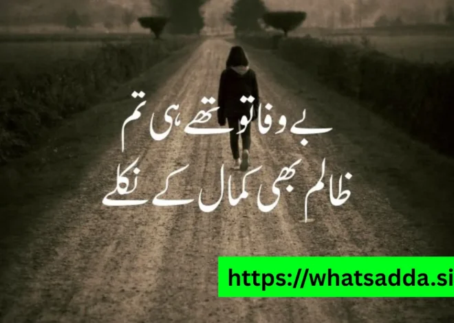 Shero Shayari WhatsApp Group (Active & Latest Links)