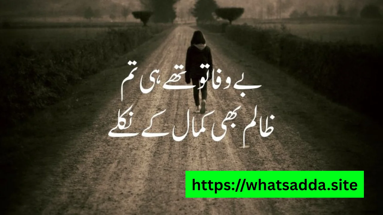 Shero Shayari WhatsApp Group (Active & Latest Links)