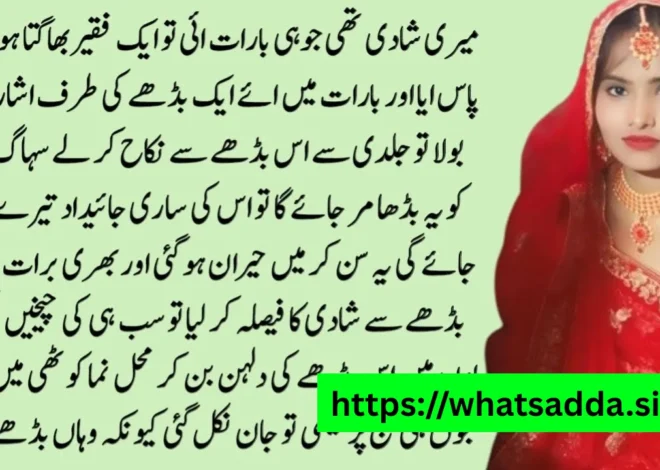 urdu stories whatsapp group link