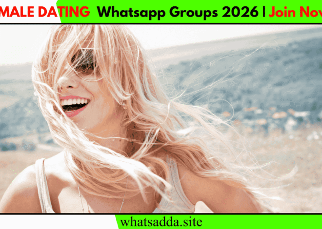 Female Dating WhatsApp Group Link (Active & Latest Links)